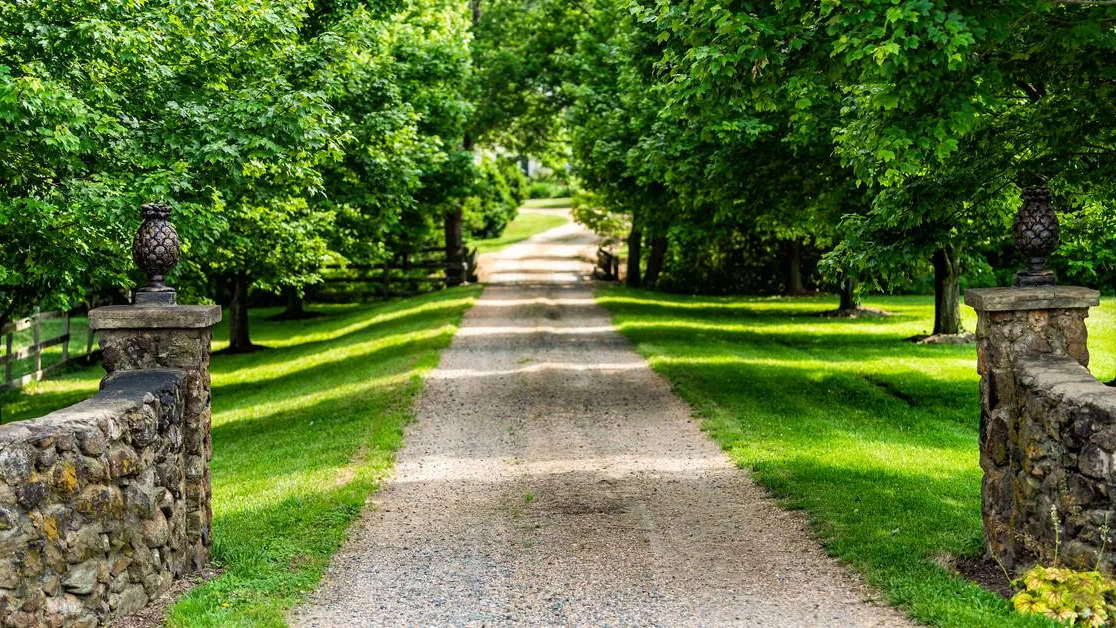 Long gravel lane running between shade trees and mowed grass on a rural property
