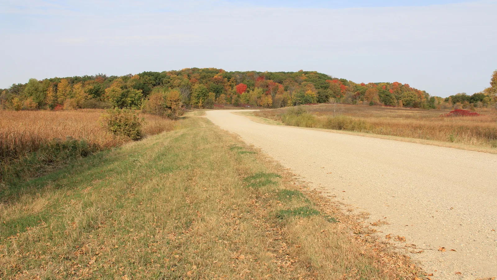 Wide gravel road running between grass shoulders toward a hardwood treeline in fall colour
