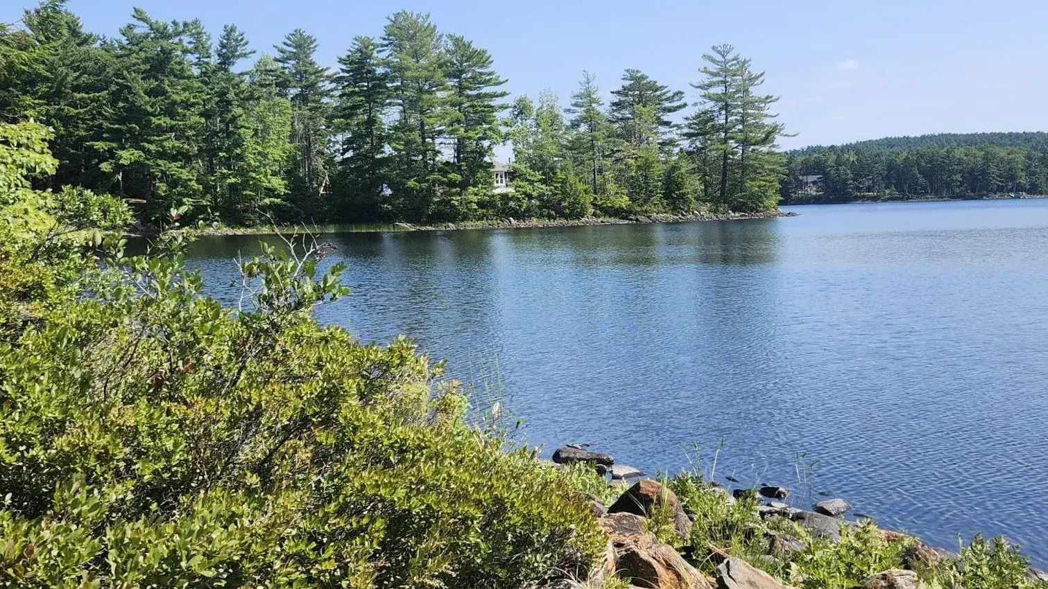 Wooded shoreline thinned back to open the view across the water on a lake lot