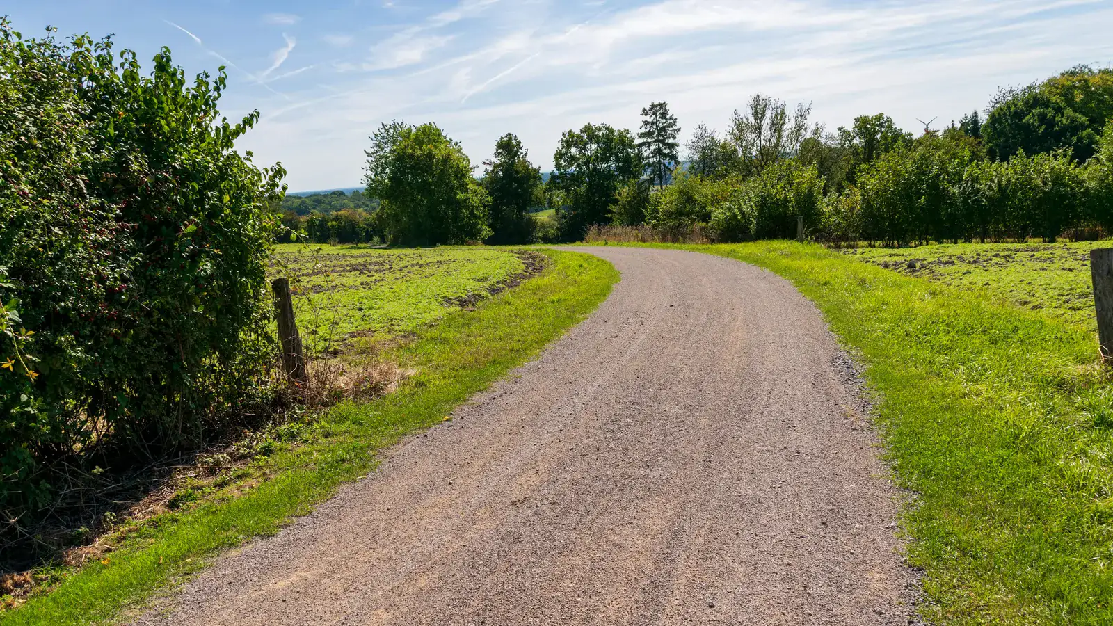 Gravel farm lane curving between mowed fields and brushy fence rows in open rural country