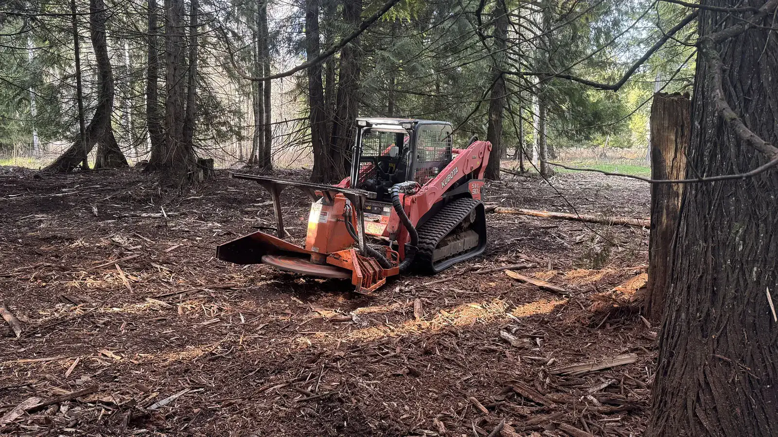 Compact track loader running a mulcher head across a cleared woodland floor covered in fresh chips