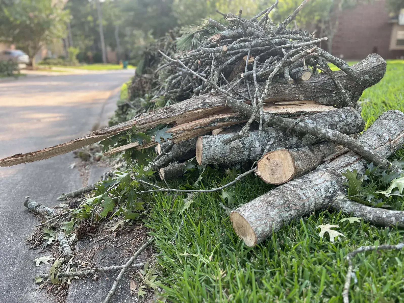 Cut limbs and log sections stacked at the edge of a yard ready to be hauled off