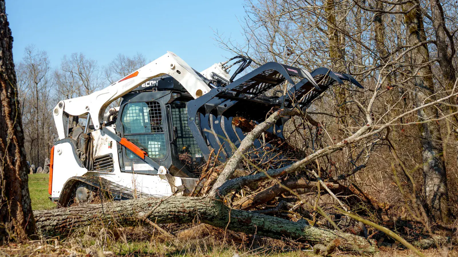 Compact track loader with a grapple closing on a storm-downed tree trunk and limbs